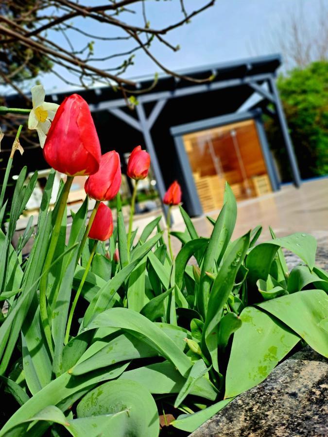 Fuege Villa Luxury & Wellness Balatonfured Luaran gambar